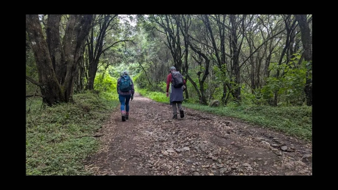 Mount Kilimanjaro trekking landscape